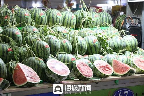 跳跃之王老版本  第2张