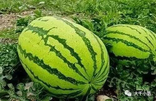 李易峰主题锁屏  第2张